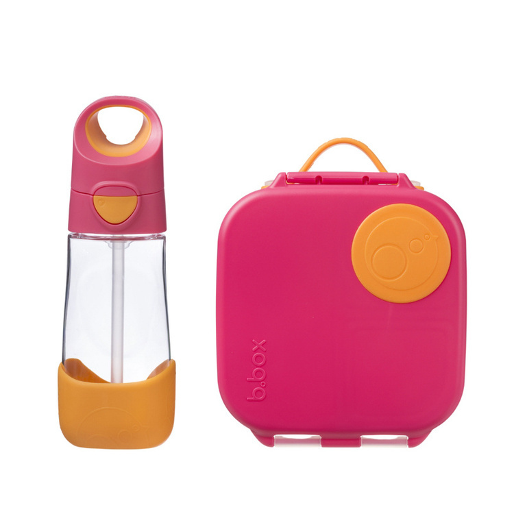 Mini Lunchbox