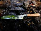 Nóż Santoku Aka Tori ze stali damasceńskiej 7" - Kyoto Olive