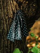 Chusta wielofunkcyjna Dr.Bacty Polka Dots Black